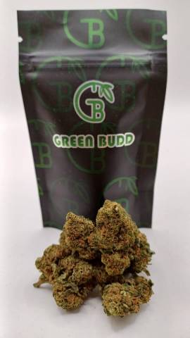 G13 X GELATO